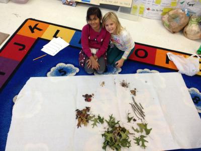 Photo of student making art with nature objects